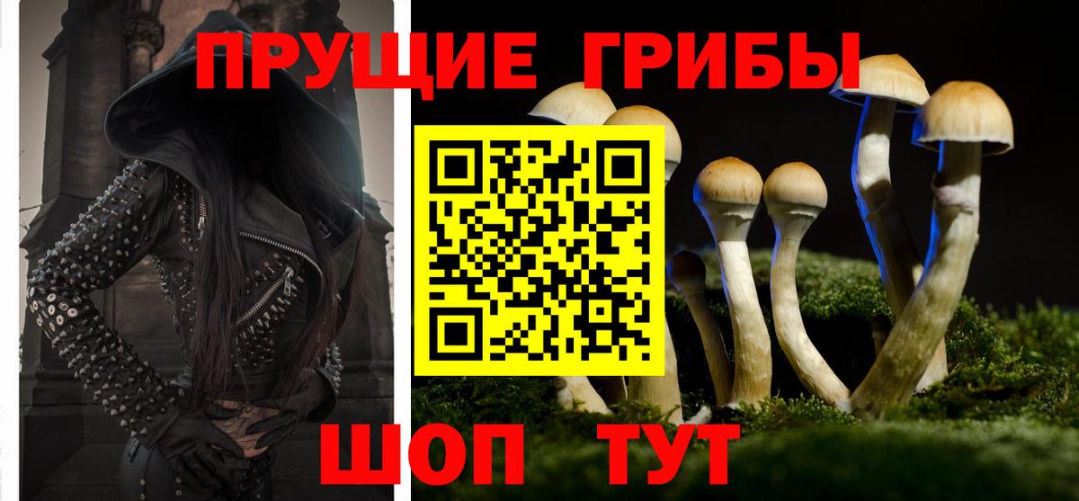 Псилоцибиновые грибы GOLDEN TEACHER  Вход с VPN  Моздок 
